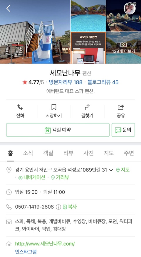 세모난나무 이미지