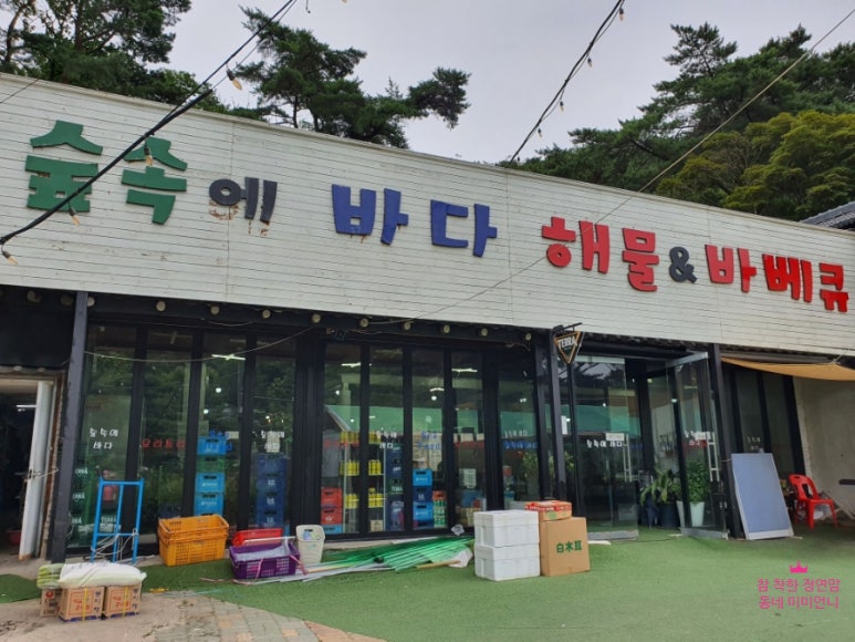 바다의숲펜션 이미지