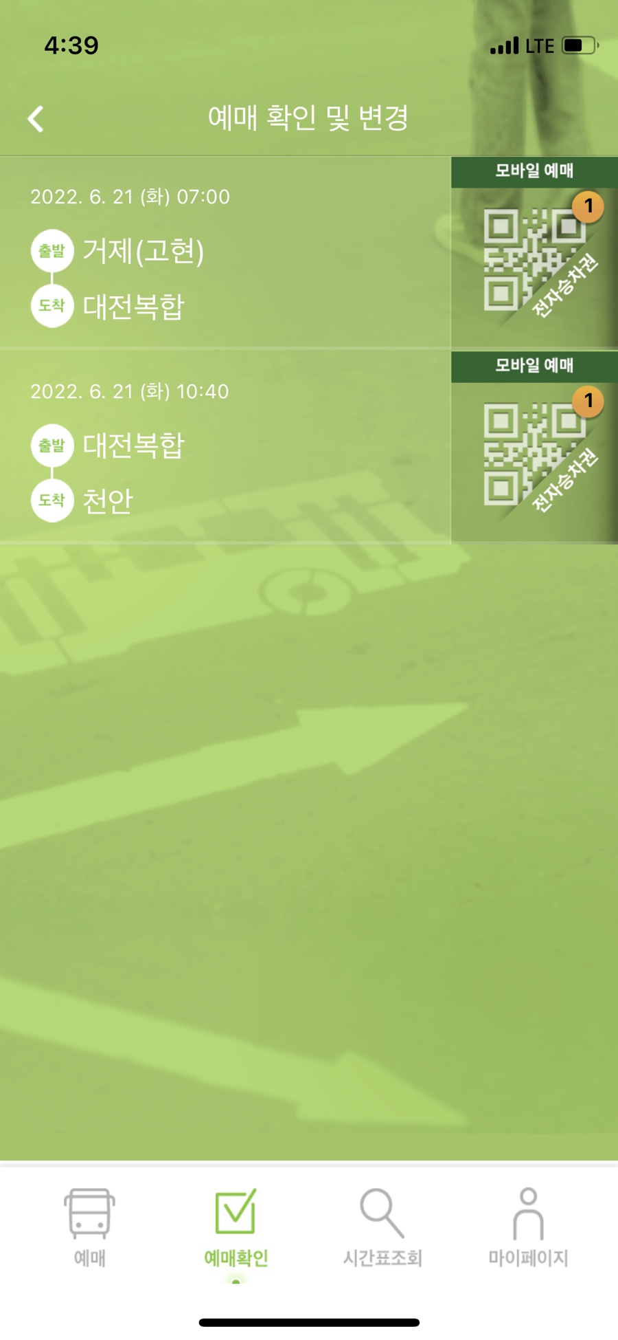 하이치치 이미지