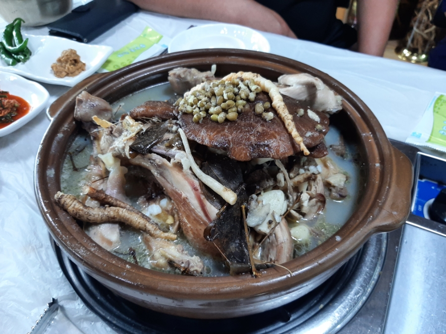 강남스타일약초백숙 이미지