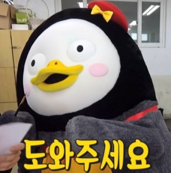 보정당 이미지