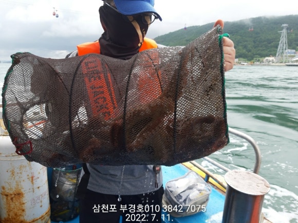 부경호 이미지