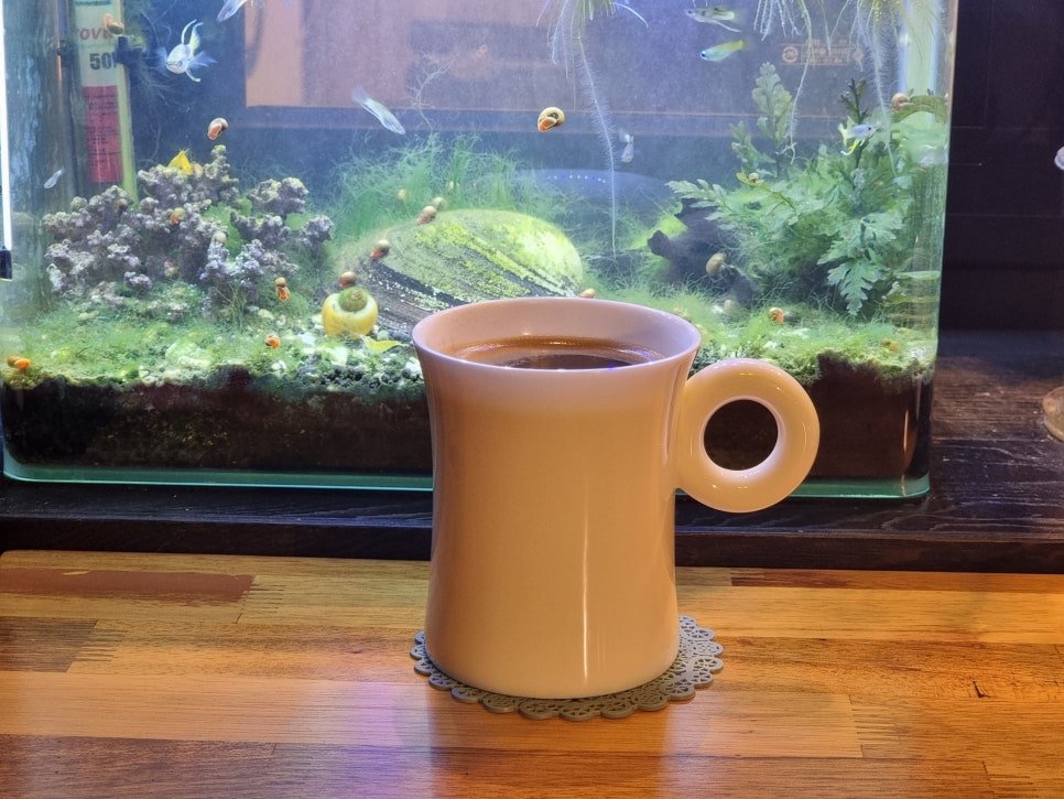 트랑(TRANG) 이미지