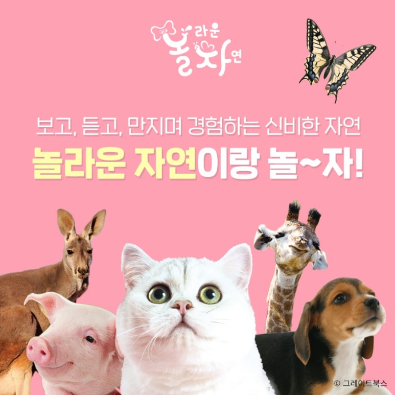 자연이랑자연으로 이미지