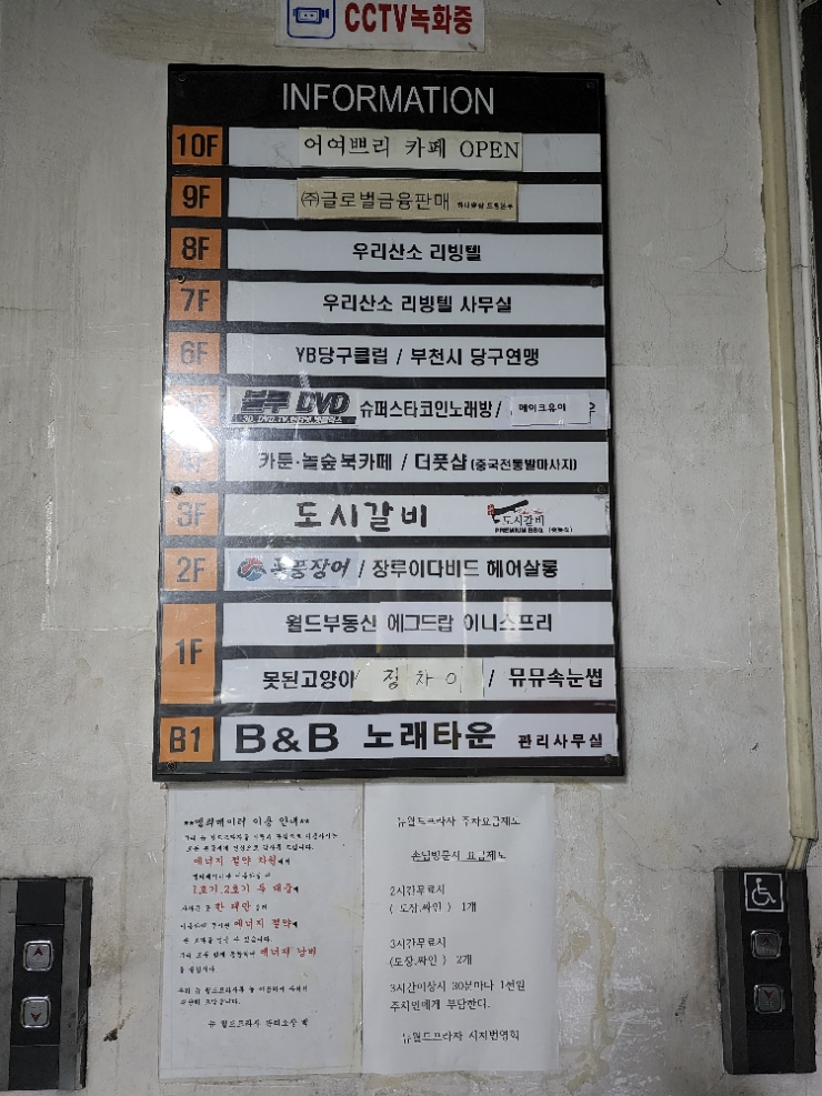 폭풍장어중동 이미지