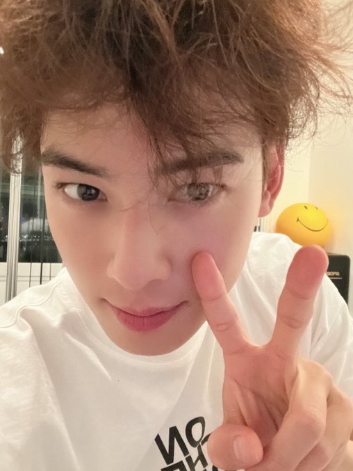 동미 이미지