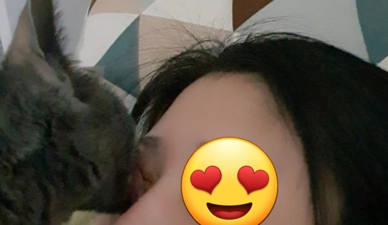 달님네일 이미지