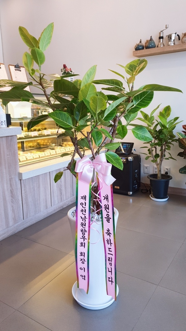 연세바른의원 이미지