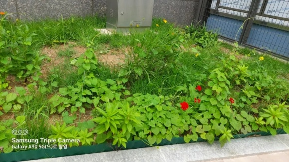 주식회사 세경 이미지