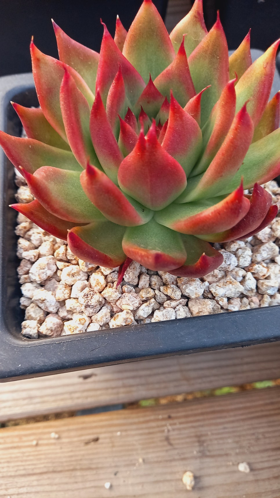 마실다육 이미지