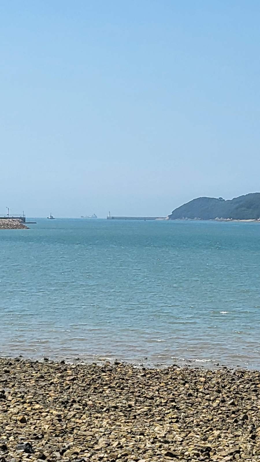 홍일수산식당 이미지