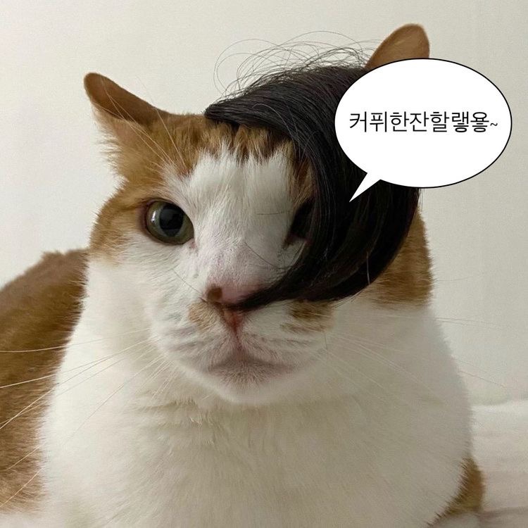 (주)에슬로우 이미지