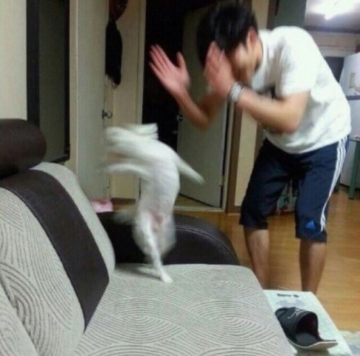 멧피트니스 이미지