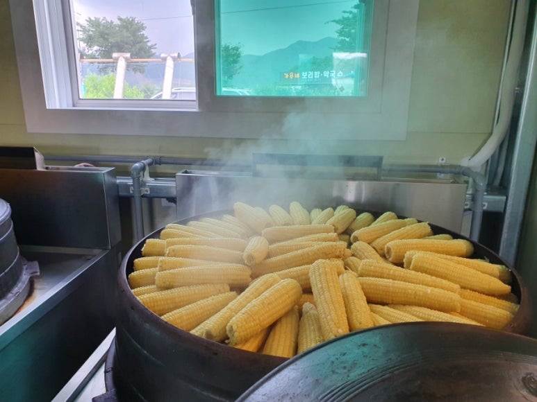 토생이 이미지
