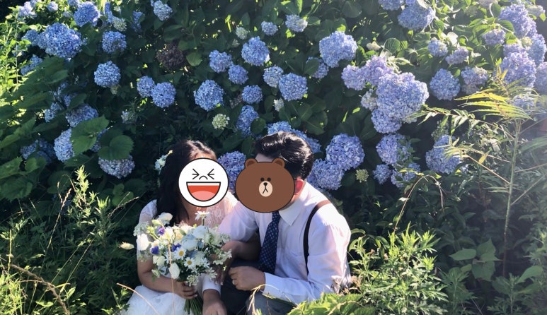 소피토제주 이미지