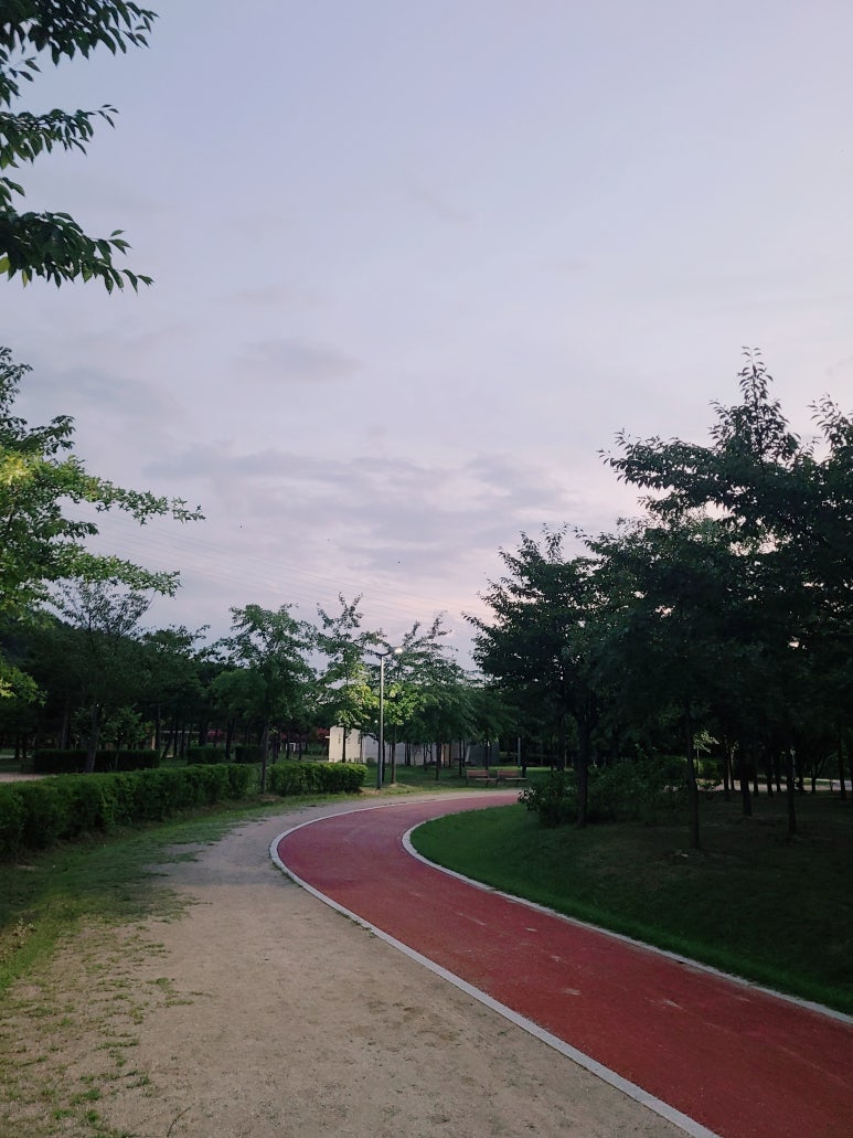 서재체육공원 이미지