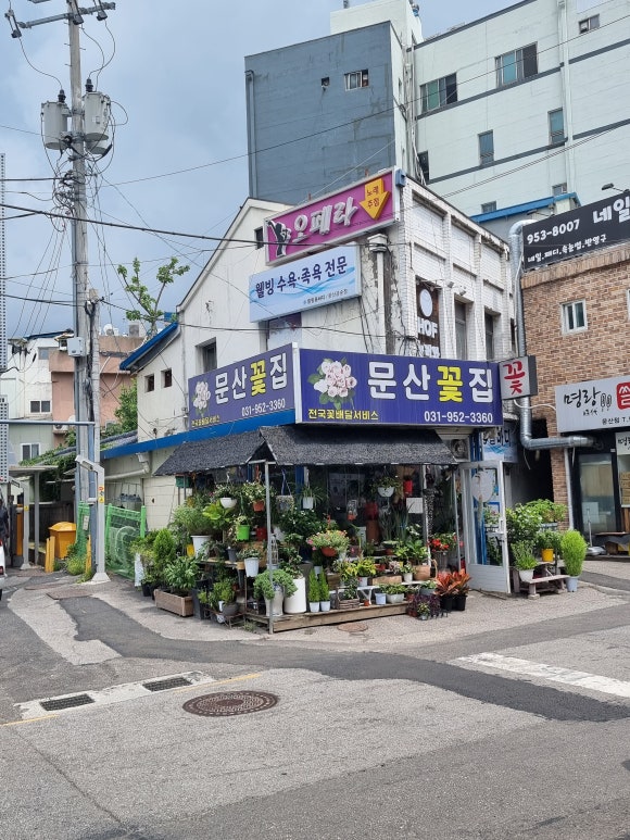 문산화원 이미지