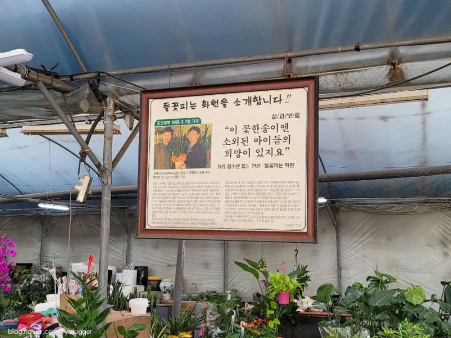 들꽃피는화원 이미지