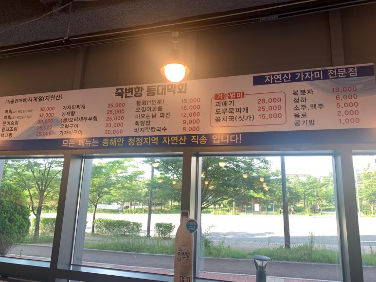 죽변항등대막회 이미지