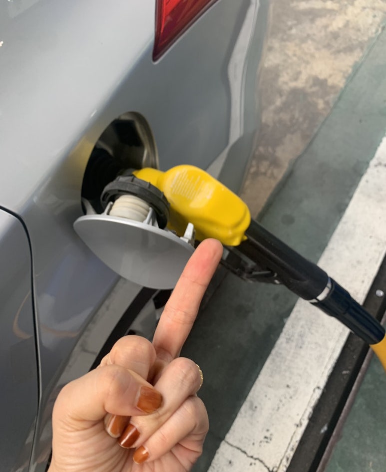 고릴라 바베큐 캠핑장 이미지