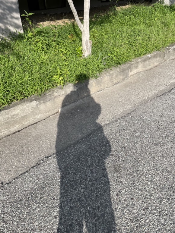 플라딥커피로스터스 이미지