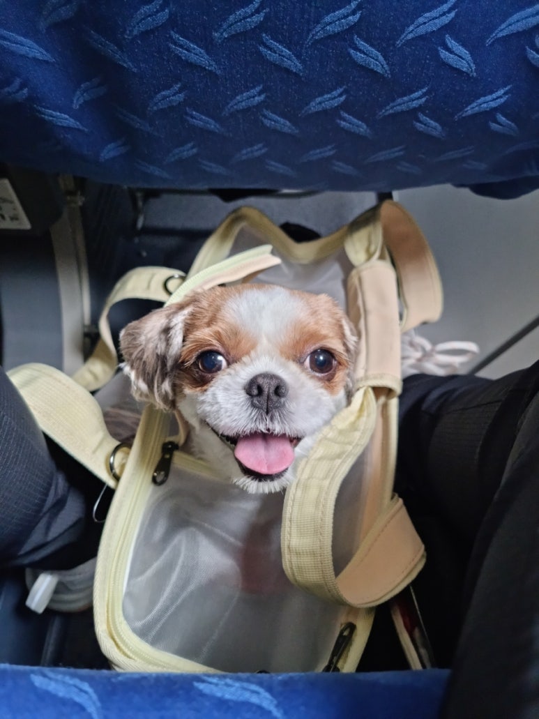 너럭 이미지