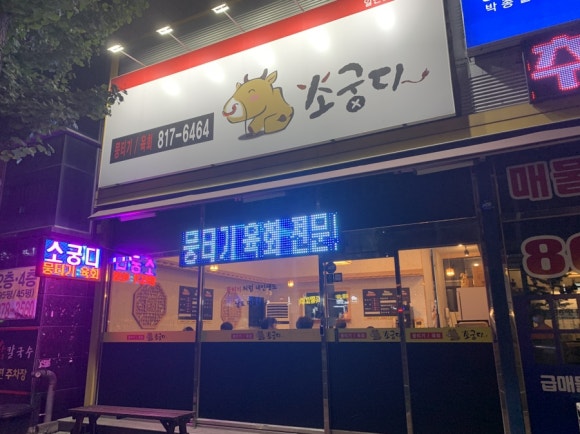 소궁디 이미지