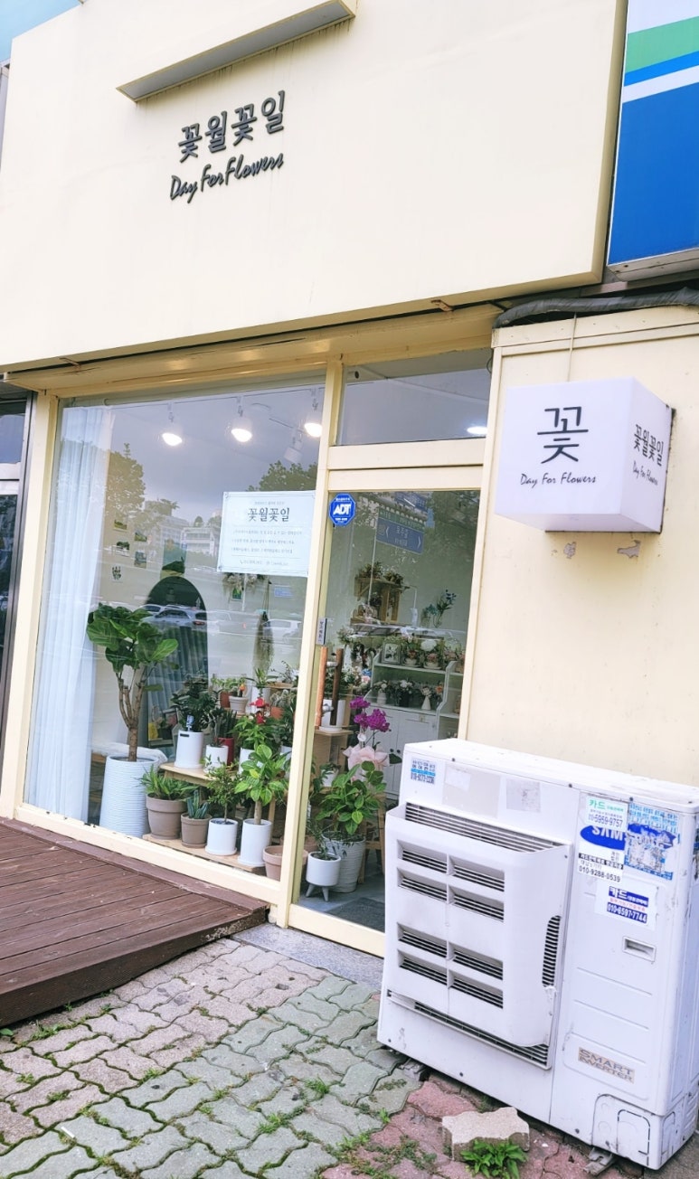 꽃월꽃일 이미지