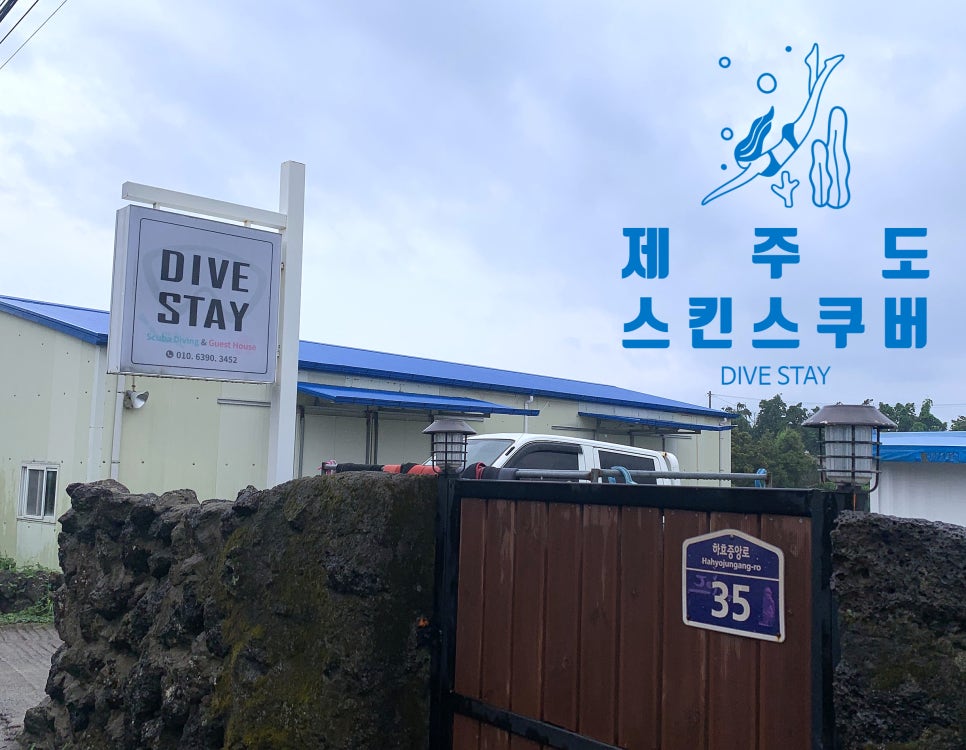 다이브스테이 이미지