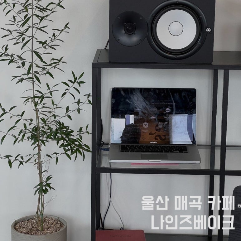 나인즈베이크 이미지