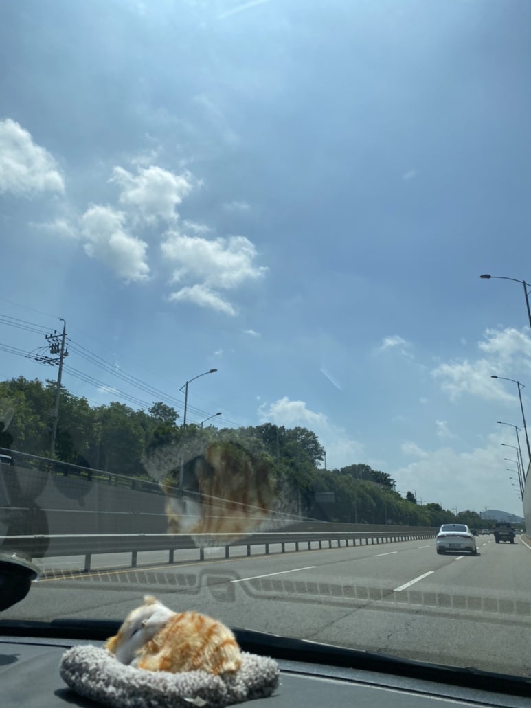 (주)홍탕 이미지
