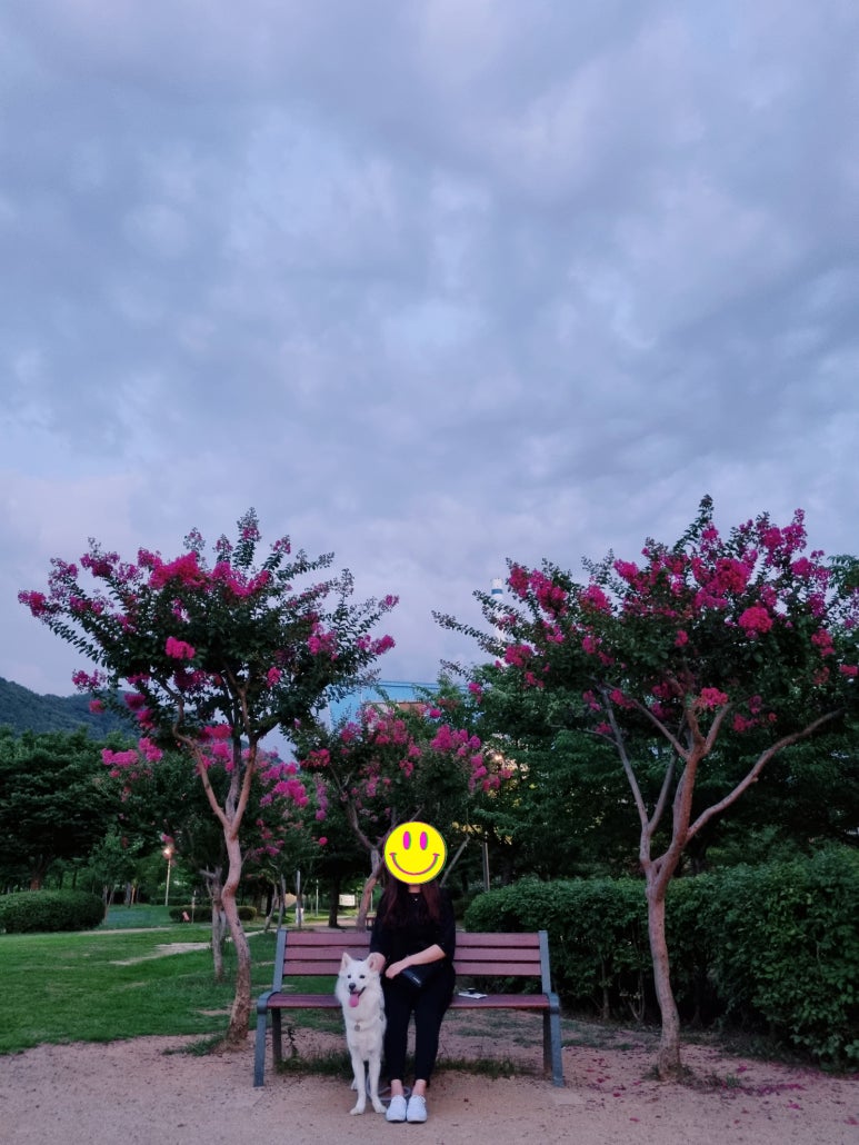 서재체육공원 이미지