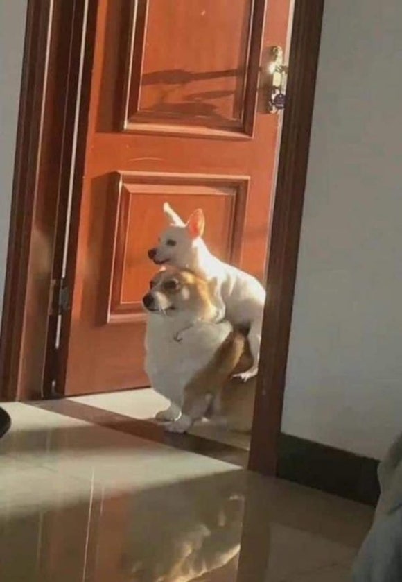 몽글몽글 이미지
