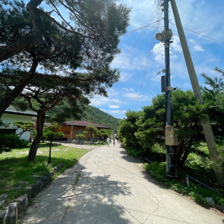 행화촌 자연테마파크 이미지