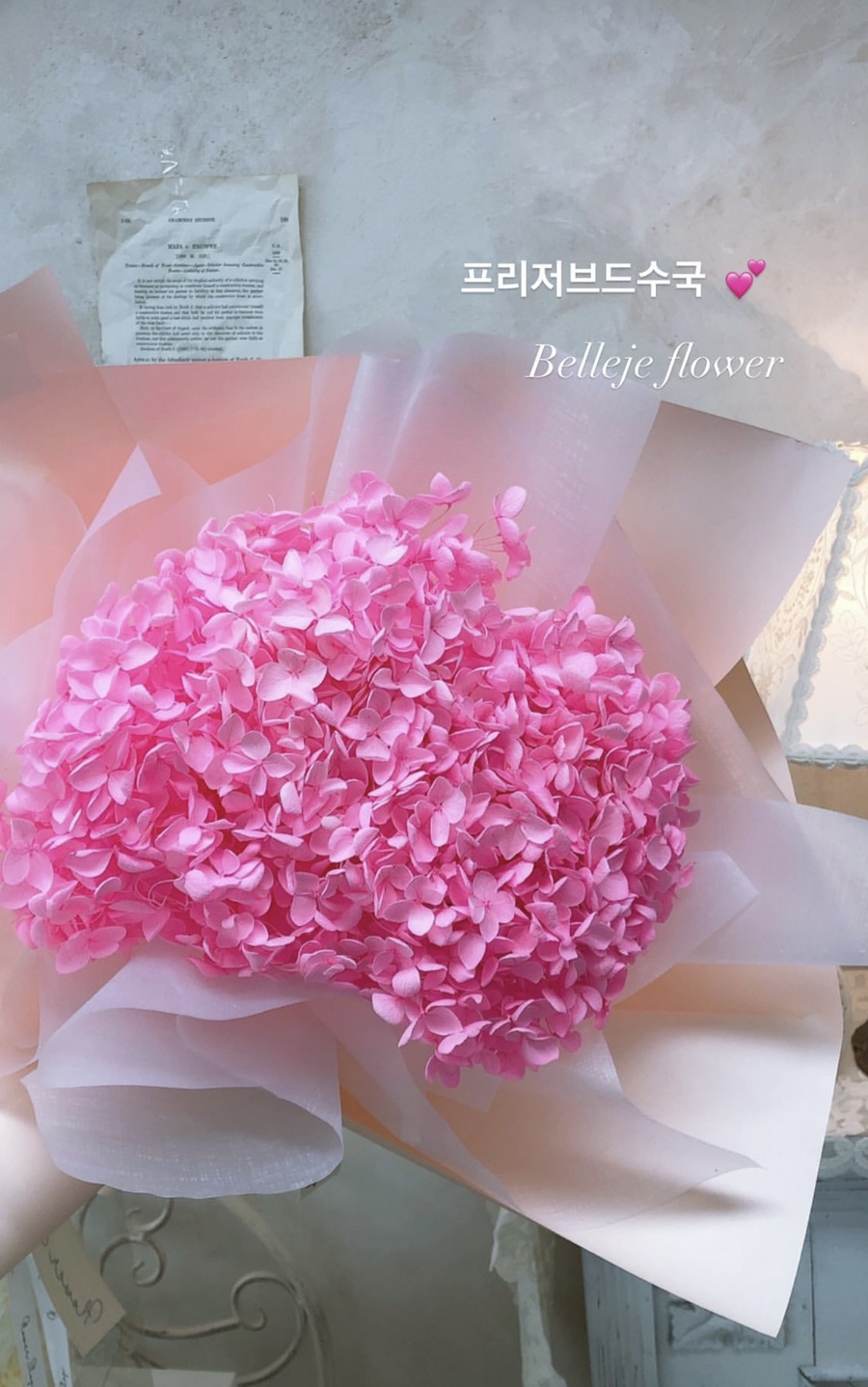 벨르제플라워 이미지