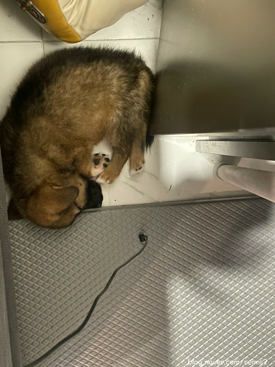 (주)레임 이미지