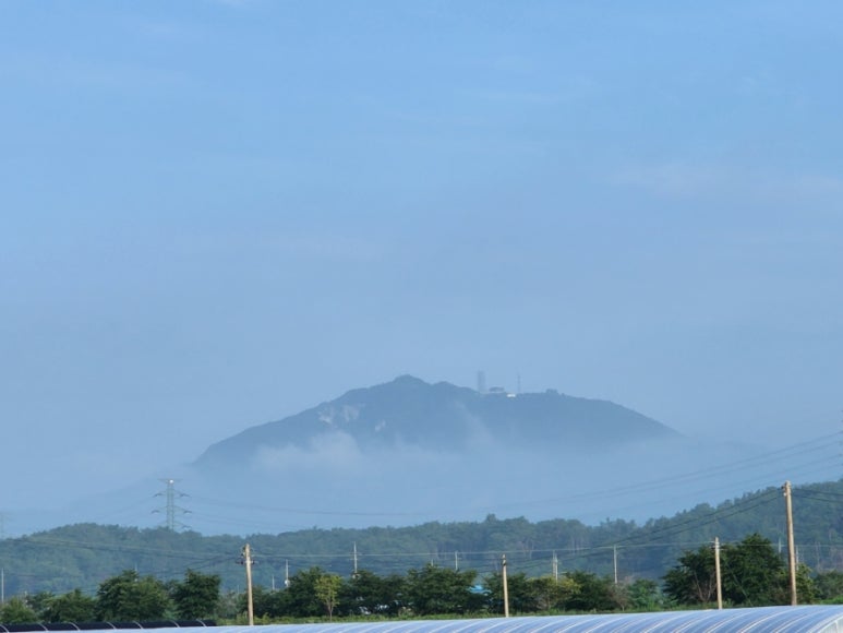 삼산한우촌 이미지