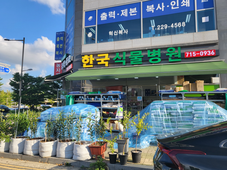 한국식물병원 이미지