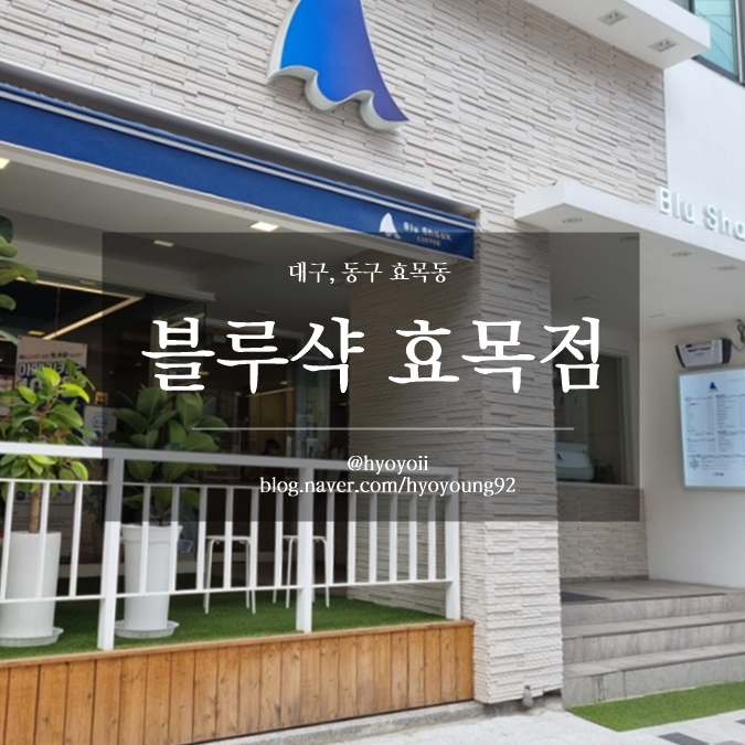 블루샥효목 이미지