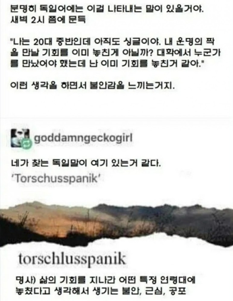 베스트샐러드 이미지