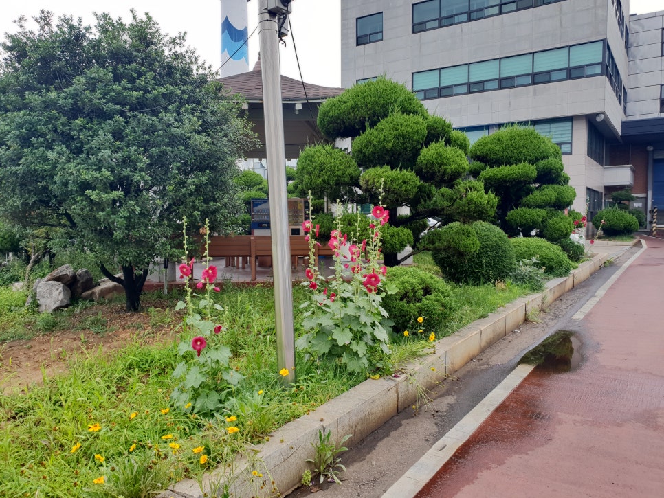 보림조경 이미지