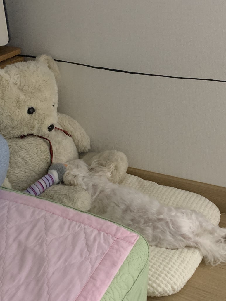 뉴트리어드벤스 이미지