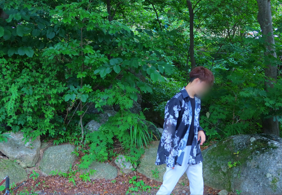 진틀펜션캠핑장 이미지