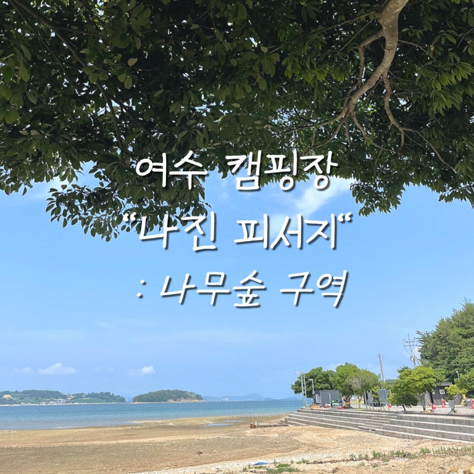 나진전기 이미지