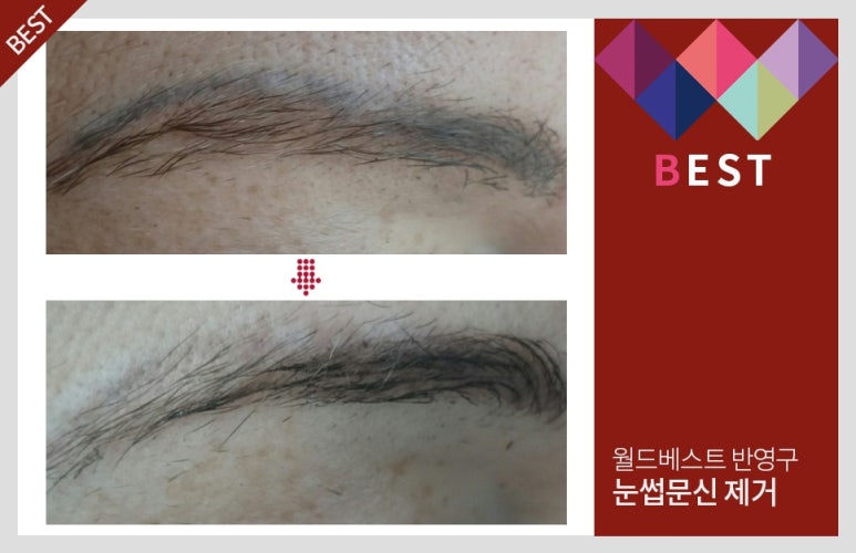 타투월드 이미지