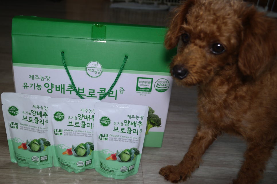 제주농장영농조합법인제주지점 이미지