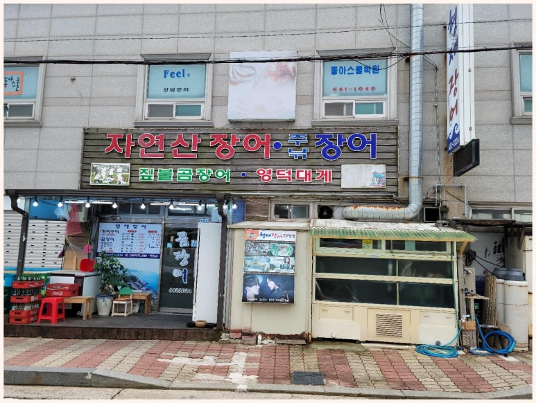 지세포장어 이미지