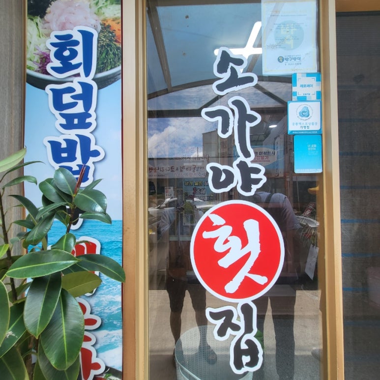 소가야횟집 이미지
