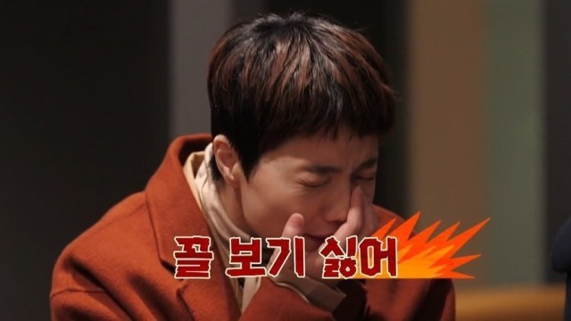 디오션크루즈 이미지