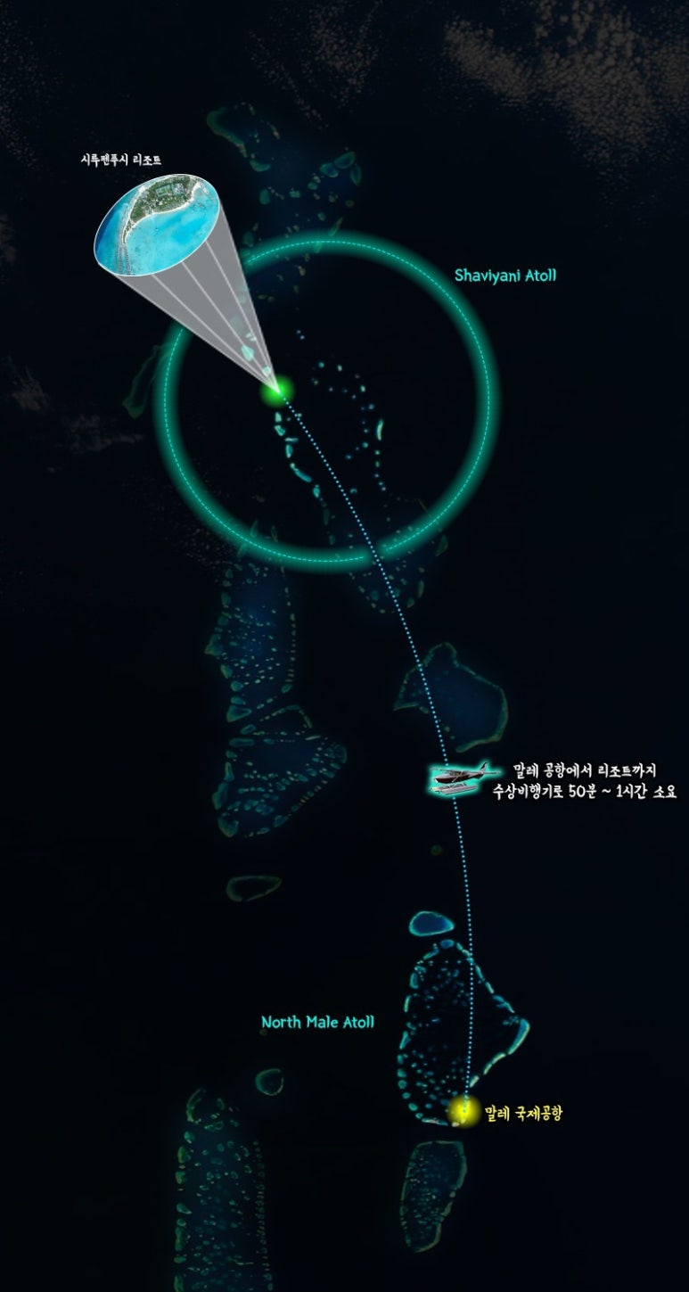 푸시베리 이미지